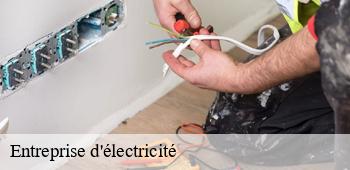 Entreprise d'électricité 53 Mayenne  AS renovation