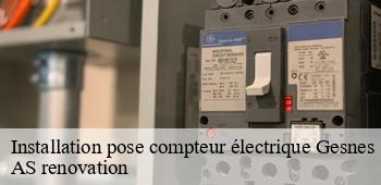 Installation pose compteur électrique  gesnes-53150 AS renovation