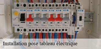 Installation pose tableau électrique  contest-53100 AS renovation