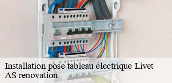 Installation pose tableau électrique  livet-53150 AS renovation