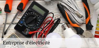 Entreprise d'électricité  ahuille-53940 AS renovation