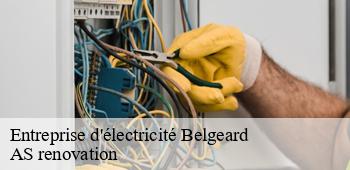 Entreprise d'électricité  belgeard-53440 AS renovation