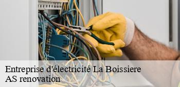 Entreprise d'électricité  la-boissiere-53800 AS renovation