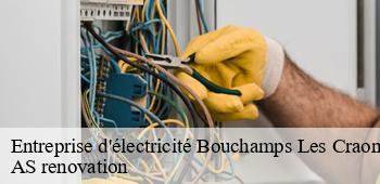 Entreprise d'électricité  bouchamps-les-craon-53800 AS renovation