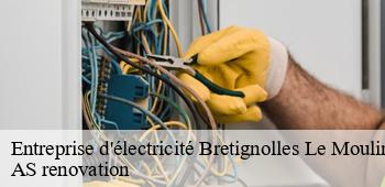 Entreprise d'électricité  bretignolles-le-moulin-53110 AS renovation