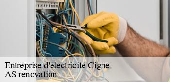 Entreprise d'électricité  cigne-53300 AS renovation