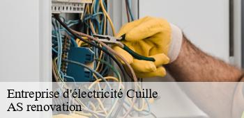 Entreprise d'électricité  cuille-53540 AS renovation