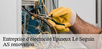 Entreprise d'électricité  epineux-le-seguin-53340 AS renovation