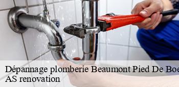 Dépannage plomberie  beaumont-pied-de-boeuf-53290 AS renovation