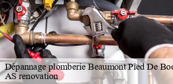 Dépannage plomberie  beaumont-pied-de-boeuf-53290 AS renovation