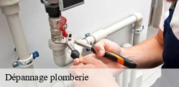 Dépannage plomberie  contest-53100 AS renovation