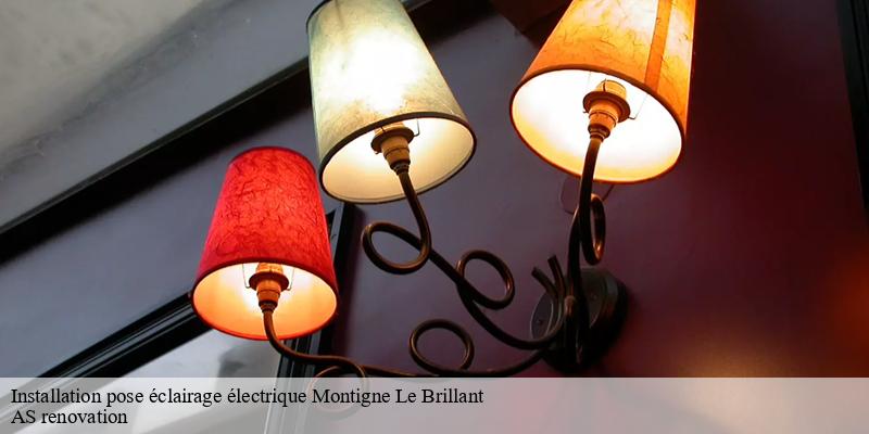 Installation pose éclairage électrique  montigne-le-brillant-53970 AS renovation